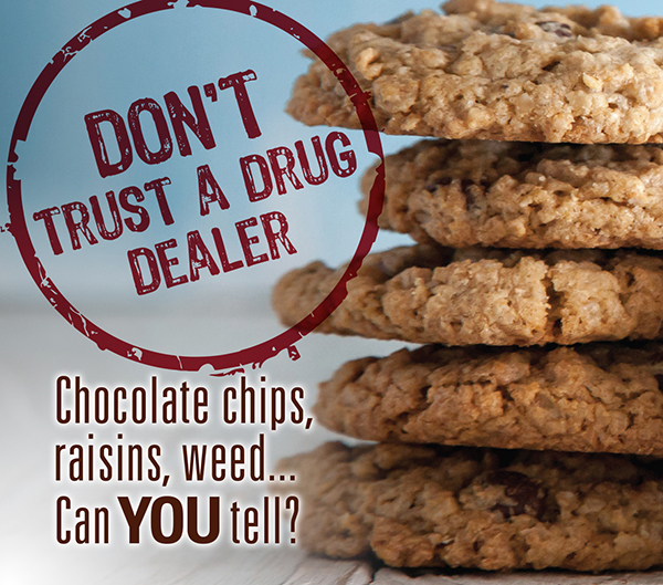 Chocolate chips, raisins, weed... Can you tell?